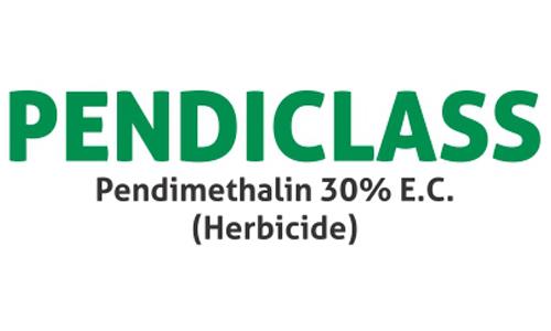 Pendiclass