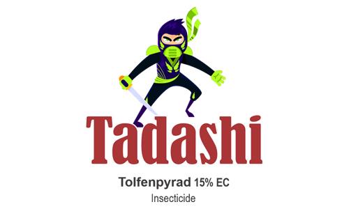 Tadashi